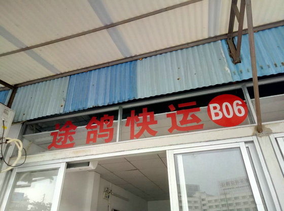 滄州到東莞物流